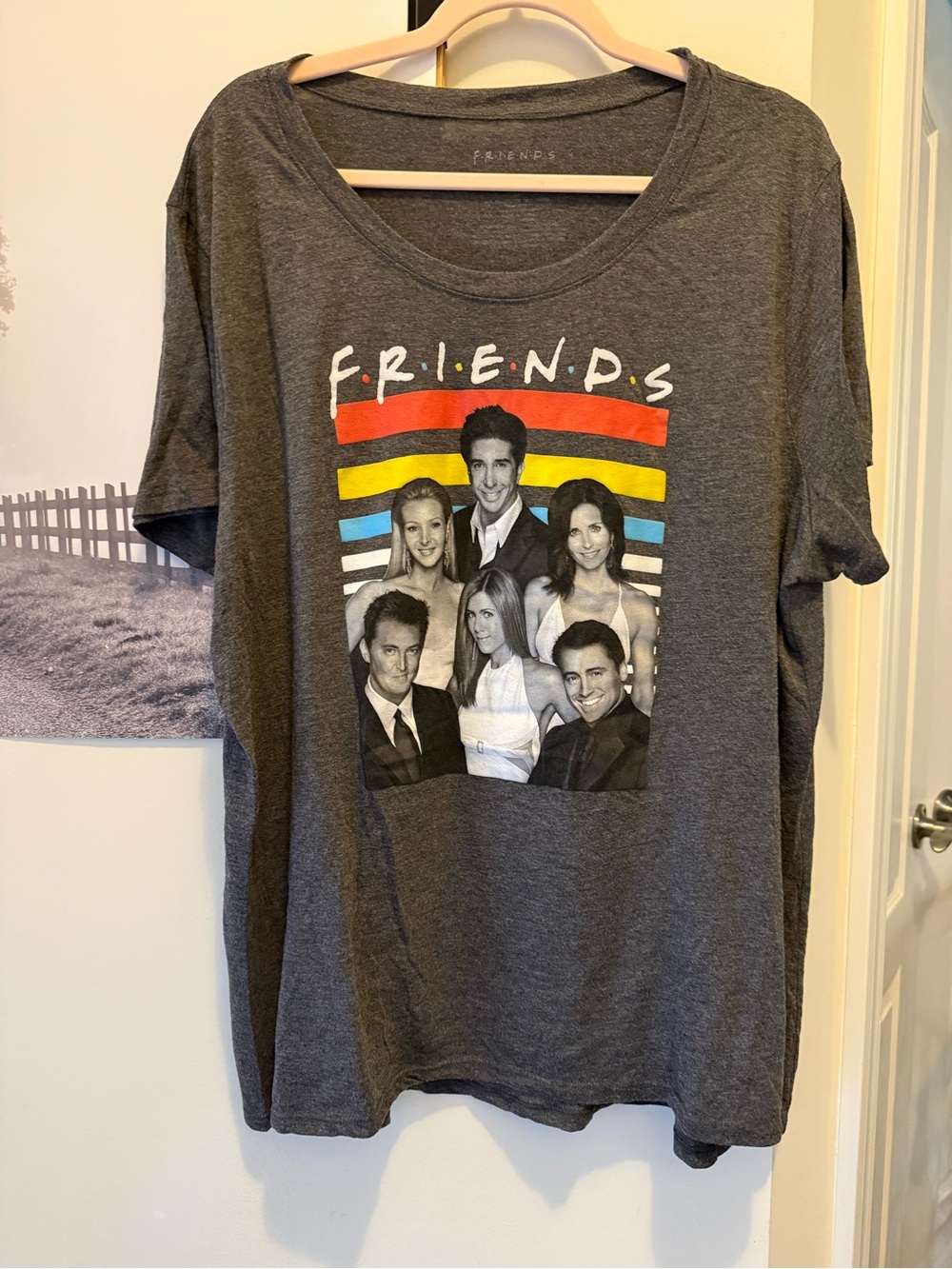 FRIENDS Graphic Tee in Charcoal with Rainbow Stripes and characters 1X